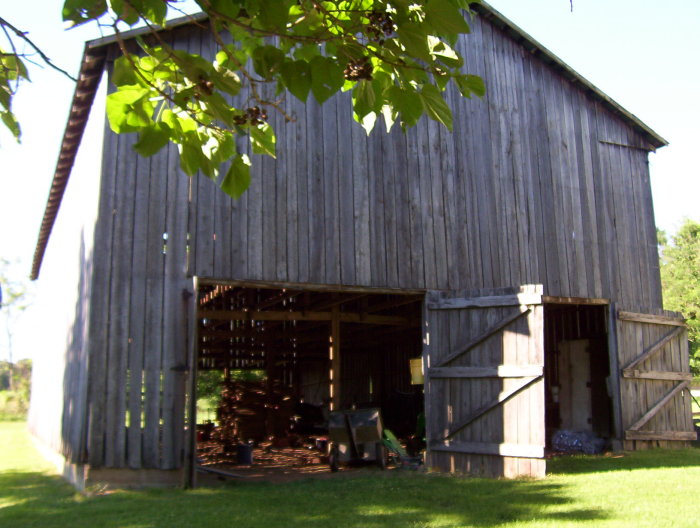 100_2997.jpg