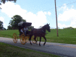 tn/100_2963.gif
